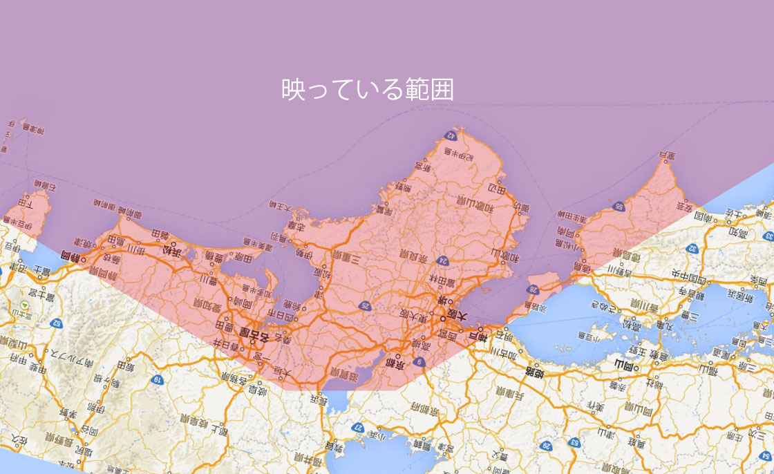 完璧なタイミングで撮影された、陽気な犬の写真 15 枚