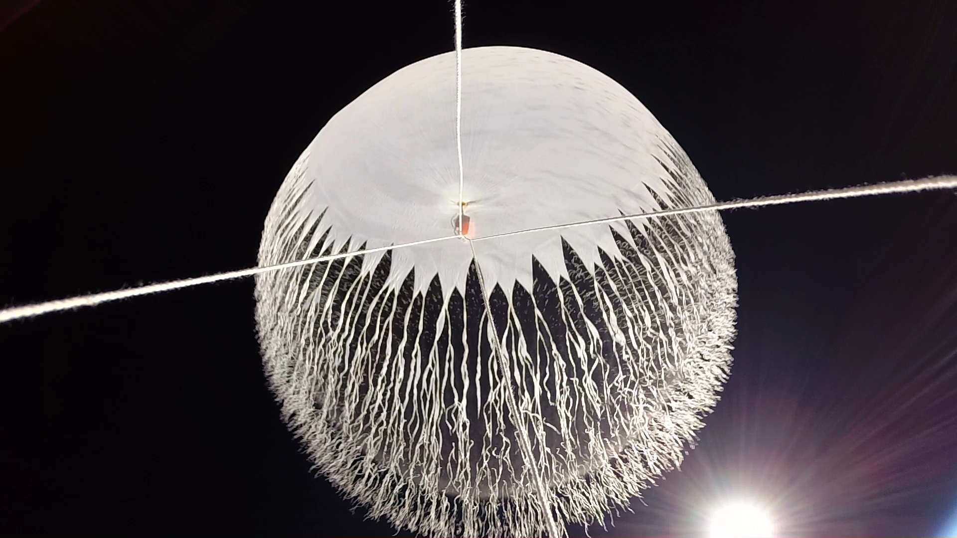 学校の環境に配慮した取り組み