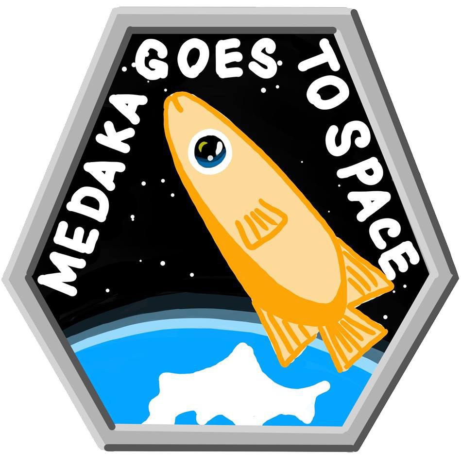 メルコスール: 経済圏の国と目的